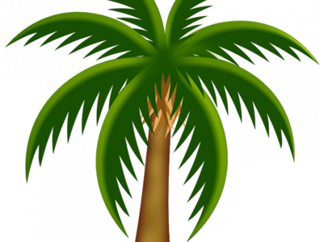Palm-Tree-clip-art-21